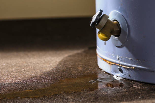 Water damage restoration mold remediation in Grand Ledge, MI