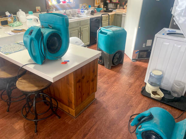 Reliable Grand Ledge, MI Water damage restoration Solutions