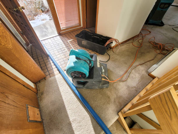 Best Water damage cleanup near me  in Grand Ledge, MI