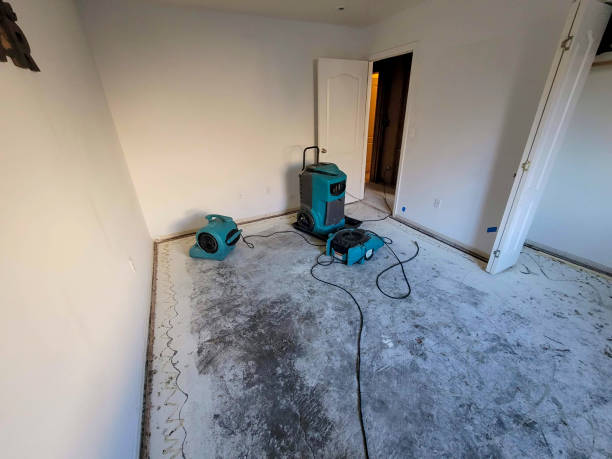Best Local water damage restoration  in Grand Ledge, MI