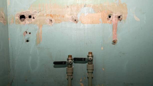 Best Residential water damage restoration  in Grand Ledge, MI