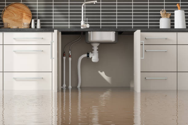 Best Commercial water damage restoration  in Grand Ledge, MI