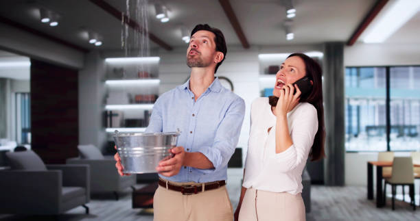 Best 24-hour water damage restoration  in Grand Ledge, MI