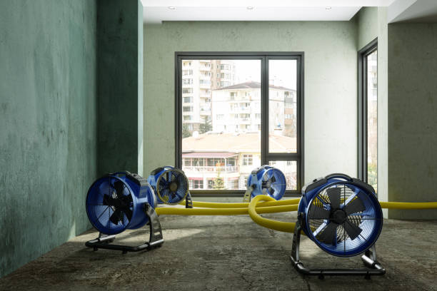Best Professional water damage repair  in Grand Ledge, MI